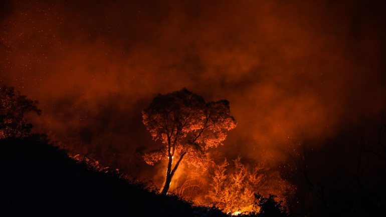 O fogo foi dado como dominado às 05h08 e as chamas lavraram numa zona de eucaliptal