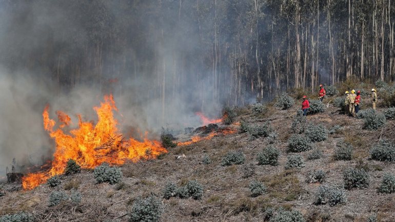 Na terça-feira, o Governo assinou um despacho que determina a declaração da situação de alerta face ao agravamento do risco de incêndio florestal no país