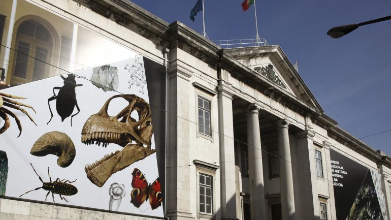 A exposição decorre no Museu Nacional de História Natural e da Ciência, em Lisboa
