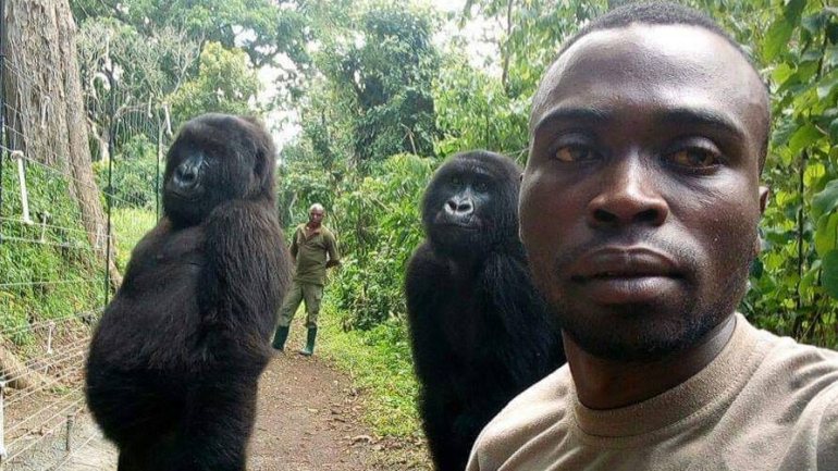 A selfie foi partilhada por um dos guardas do Parque Nacional de Virunga no Facebook