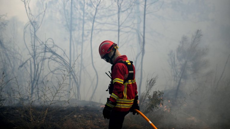 IPMA colocou também em risco muito elevado de incêndio os concelhos de Portimão, Monchique, Silves e Castro Marim, no distrito de Faro, e Almodóvar, Mértola e Odemira, em Beja