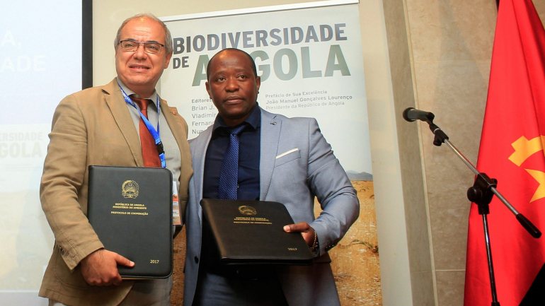 Em relação ao Dia Mundial da Biodiversidade, que se assinala na quarta-feira, Vladimir Russo defendeu a necessidade de se &quot;travar a caça furtiva e a desflorestação&quot; em Angola