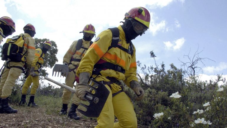 Três bombeiros sofreram ferimentos ligeiros quando combatiam as chamas.