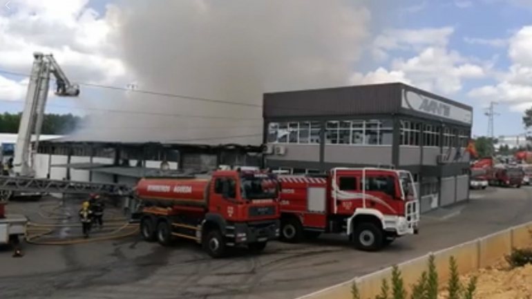 O combate ao incêndio está a ser feito desde as 10h45. Vídeo captado pelo Jornal da Bairrada