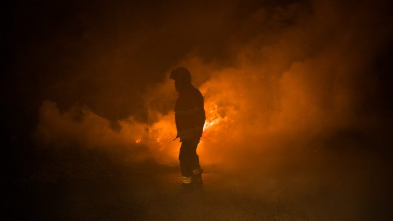 O documento da WWF destaca ainda que Portugal apresenta um número significativa maior de vítimas mortais dos incêndios face a outros países