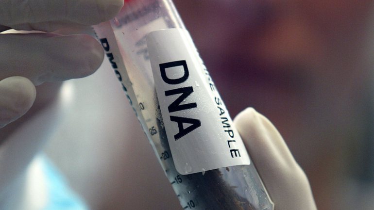 Em 2018 foram inseridos 1.779 perfis de ADN