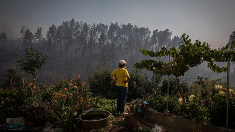 Com os fogos de 20 e 21 de julho, a área ardida aumentou para quase 17,5 mil hectares