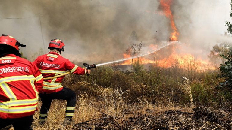 O especialista em ecologia do fogo Joaquim Sande Silva defendeu, esta quarta-feira, a necessidade de &quot;uma revolução&quot; no combate aos incêndios