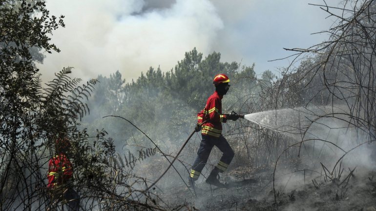 Vinte concelhos dos distritos de Faro, Portalegre, Santarém, Castelo Branco, Guarda e Bragança apresentam um risco máximo de incêndio