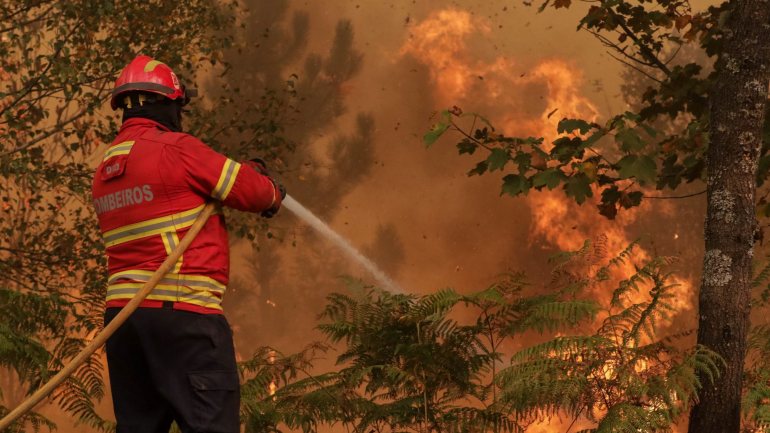 Existem cerca de 30 concelhos com risco muito elevado de incêndio