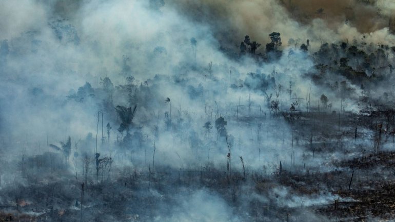 O número de incêndios no Brasil aumentou 83% este ano