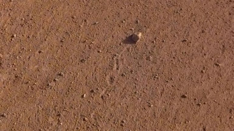A pedra que tem dimensões um pouco maiores que uma bola de golf, chegou a percorrer um metro de distância em 26 de novembro de 2018 e deixar um rastro na terra avermelhada de Marte