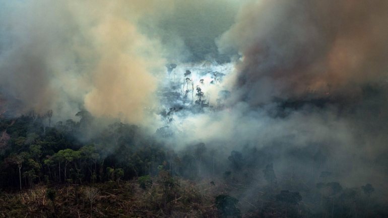 A amazónia é a região brasileira mais afetada pelos incêndios