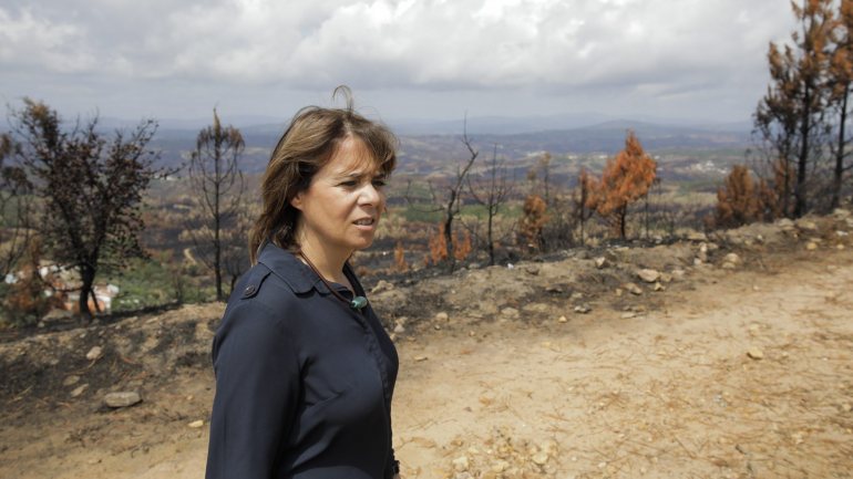 A líder bloquista diz que os incêndios são &quot;uma manobra clara económica de destruição da Amazónia&quot;