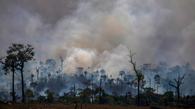 O número de incêndios no Brasil aumentou 83% este ano, em comparação com o período homólogo do ano anterior