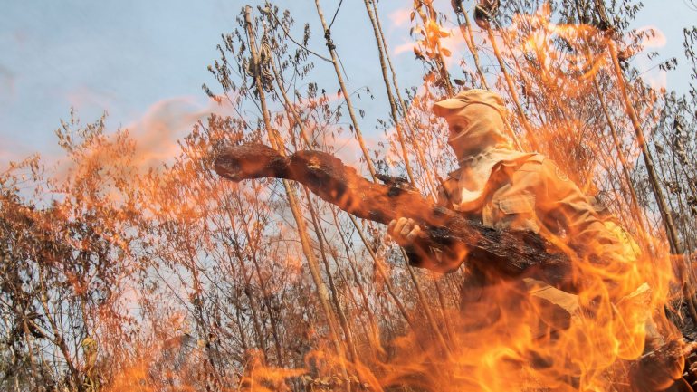 O mês de setembro começou com 980 focos de incêndio registados no domingo, na região da Amazónia brasileira.