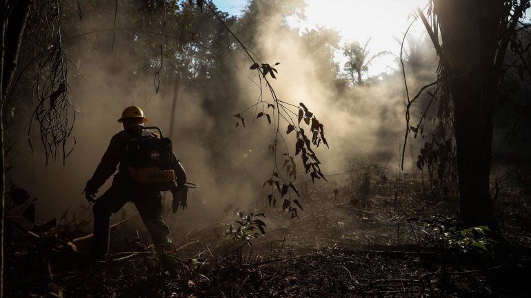 O Governo brasileiro foi fortemente questionado pela comunidade internacional por causa do ressurgimento de grandes ações de desflorestação e incêndios na Amazónia
