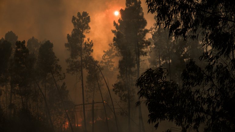 O alerta para o incêndio em zona florestal na localidade do distrito de Vila Real foi dado às 13h36