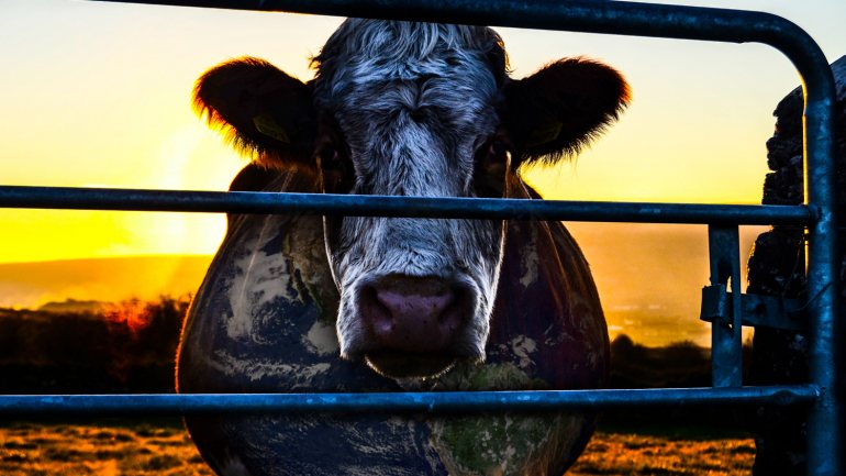 APROLEP alude a várias “incorreções” no documentário “Cowspiracy: The Sustainability Secret”