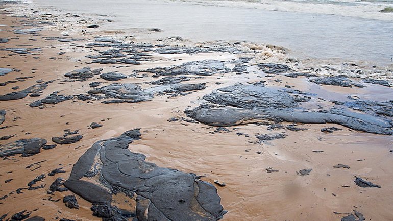 Toneladas de petróleo encontradas nas águas do Atlântico na costa brasileira ameaçam centenas de espécies animais