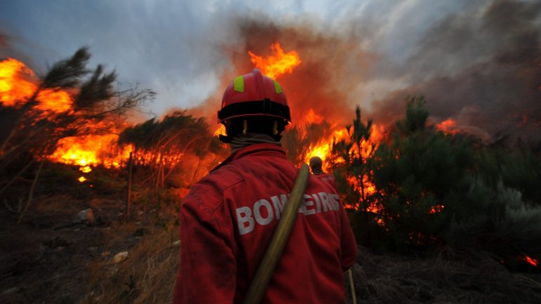 A ação vai ser desenvolvida numa área da freguesia de Fernão Joanes, no concelho da Guarda, destruída por um incêndio florestal em 2017