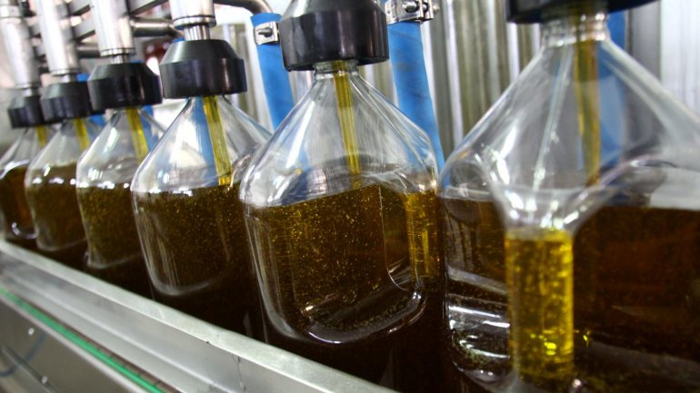 A Comissão Europeia adotou uma ajuda excecional para o armazenamento privado de azeite virgem, para equilibrar os mercados devido à quebra dos preços