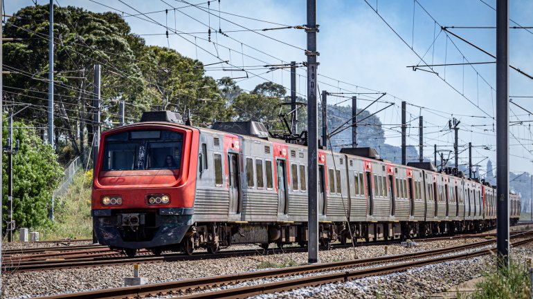 A CP prevê que o país precise de 200 a 250 novos comboios nas próximas duas décadas