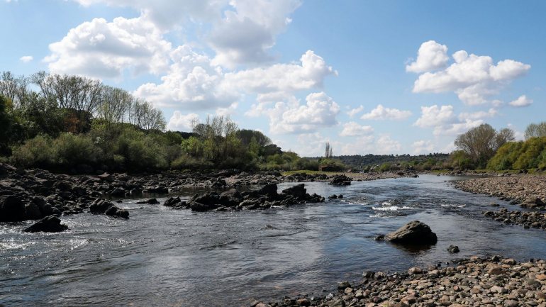 O esvaziamento de Cedillo, a jusante do rio Pônsul, fez com que este rio ficasse semelhante a &quot;um fio de água com margens lavadas&quot;