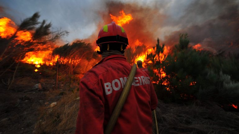 Em média, segundo a nota, ardem todos os anos quase 140 mil hectares em mais de 22 mil incêndios