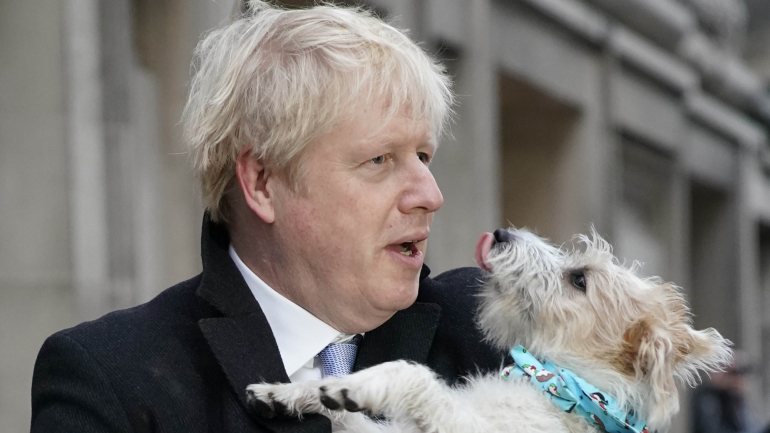 O primeiro-ministro britânico faz parte do vasto grupo de eleitores que se fizeram acompanhar pelos seus cães