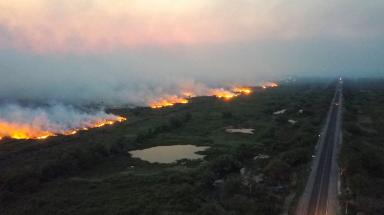 Os incêndios na Amazónia aumentaram 84% no período em relação ao ano passado