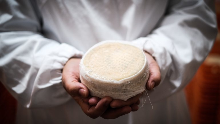 A Marinhas mantém o método de fabrico de queijos e manteiga há 65 anos, tem 24 trabalhadores e vende para todo o país