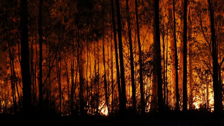 Pelo menos 17 pessoas já morreram nos fogos na Austrália desde o início do verão
