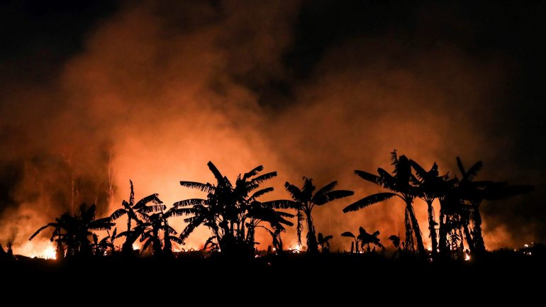 O aumento dos fogos em agosto passado chegou a geral um alarme internacional