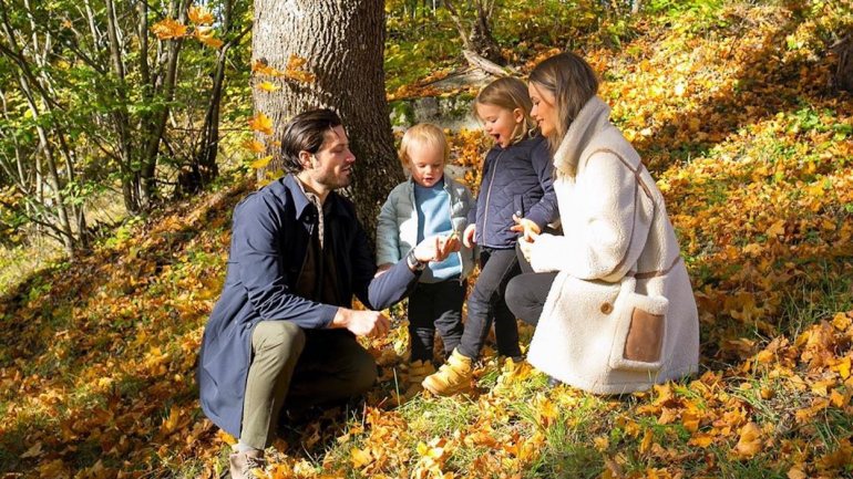 Foi em outubro de 2019 que o rei Carl XVI e a rainha Sílvia da Suécia anunciaram que tinham retirado aos cinco netos o estatuto de membros oficiais da casa real, deixando, a partir desse momento, de serem tratados por suas Altezas Reais.
