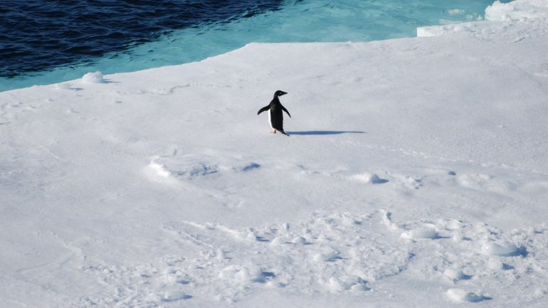 O Brasil faz parte de um grupo restrito de países que possuem estações científicas na Antártida
