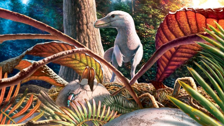 Esta ilustração representa os ovos deste dinossauro ao lado de como poderia ser um adulto dessa espécie