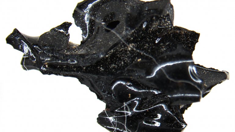 Esta é uma imagem dos pedaços de cérebro vitrificado que os cientistas encontraram em Herculano