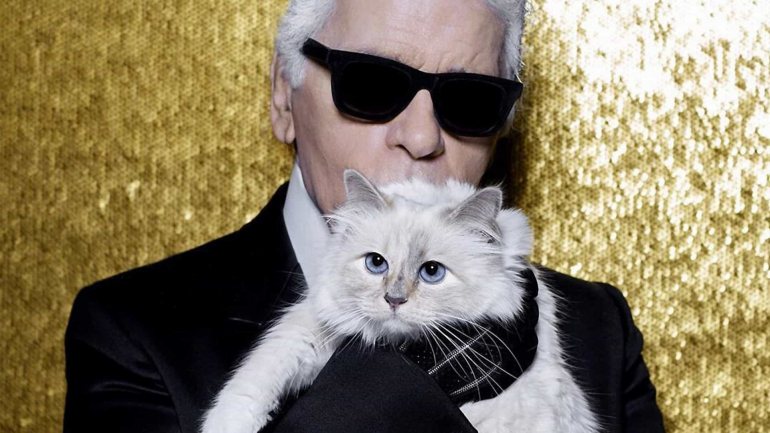Quase um ano após a morte de Karl Lagerfeld, o que será feito de Choupette, a sua gata de estimação e possível herdeira?