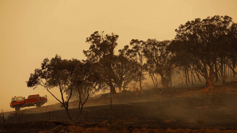 Em média, por ano, menos de 2% das florestas australianas são destruídas devido aos fogos