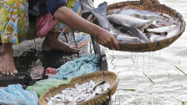 Dados estatísticos indicam que Moçambique movimenta anualmente entre 70 e 100 milhões de euros anuais no setor da pesca