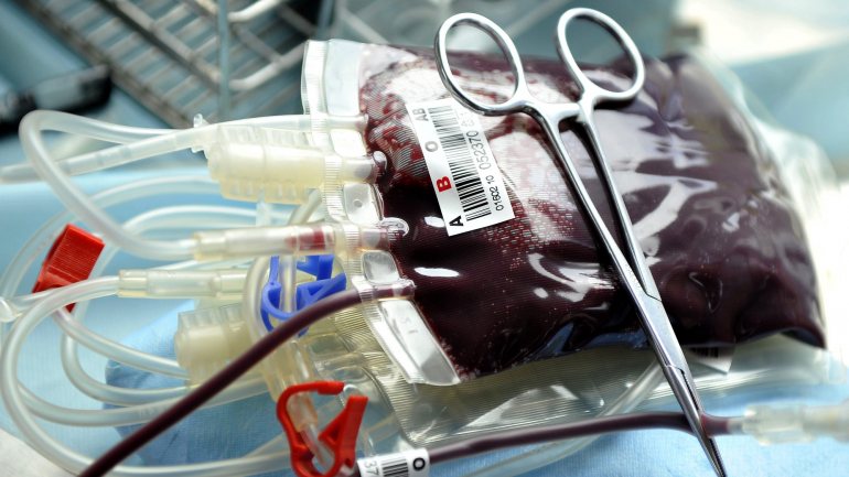 A pandemia da Covid-19 provocou uma quebra nas doações de sangue, o que levou o Hospital de Santo António a fazer um apelo à população
