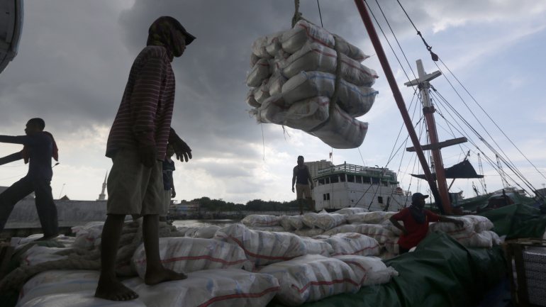 O consumo médio mensal da população timorense, no caso do arroz, ronda as &quot;10 ou 11 toneladas&quot;