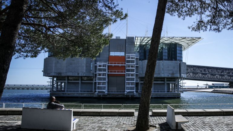 O Oceanário de Lisboa nunca tinha encerrado até março de 2020