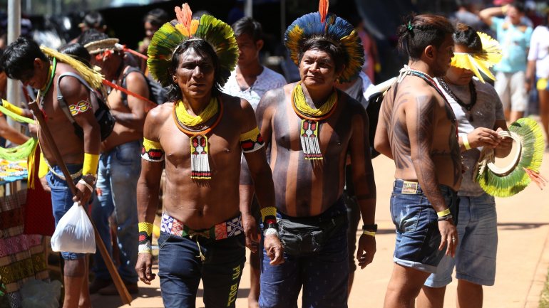 A ONG acusa madeireiros e garimpeiros de se aproveitarem da pandemia para invadir territórios indígenas