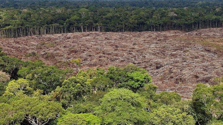 Em outubro, o executivo de Bolsonaro começou a aplicar o decreto que estabeleceu que as multas ambientais devem ser revistas em audiências de conciliação