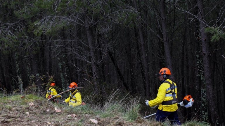 O Algarve tem sido afetado por vários grandes incêndios nos últimos anos, como o de 2018, em Monchique, o maior da Europa nesse ano, com 27 mil hectares ardidos