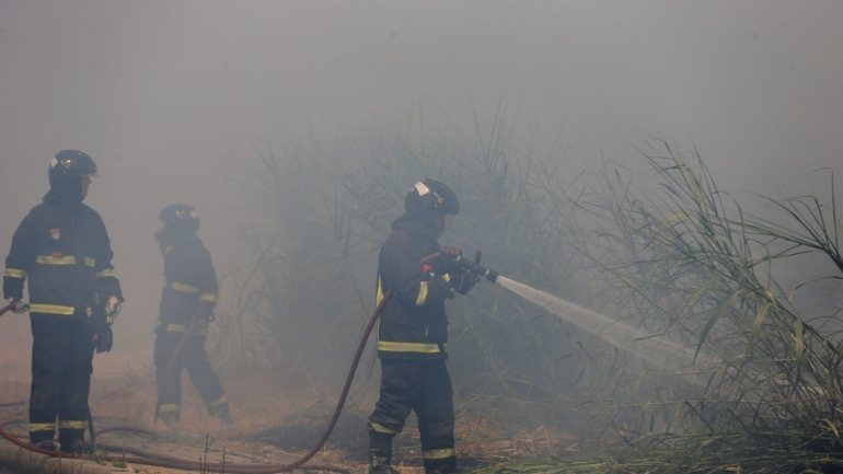Segundo o IPMA, pelo menos até sábado vai manter-se o risco de incêndio muito elevado em vários concelhos do continente por causa do tempo quente