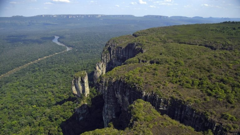 O governo brasileiro tenta agora melhorar a sua imagem no exterior em relação à proteção da Amazónia para captar fundos de investidores para a preservação da floresta