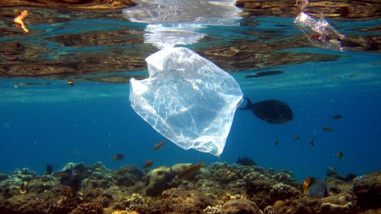 A &quot;maré sem precedentes&quot; de mais de 50 toneladas de resíduos plásticos estende-se por 120 quilómetros de praia no sudoeste do país